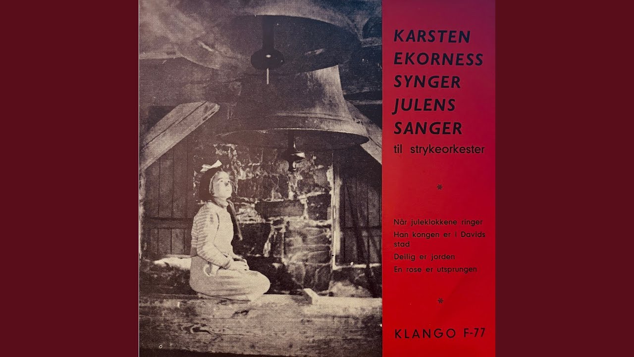 En rose er utsprungen