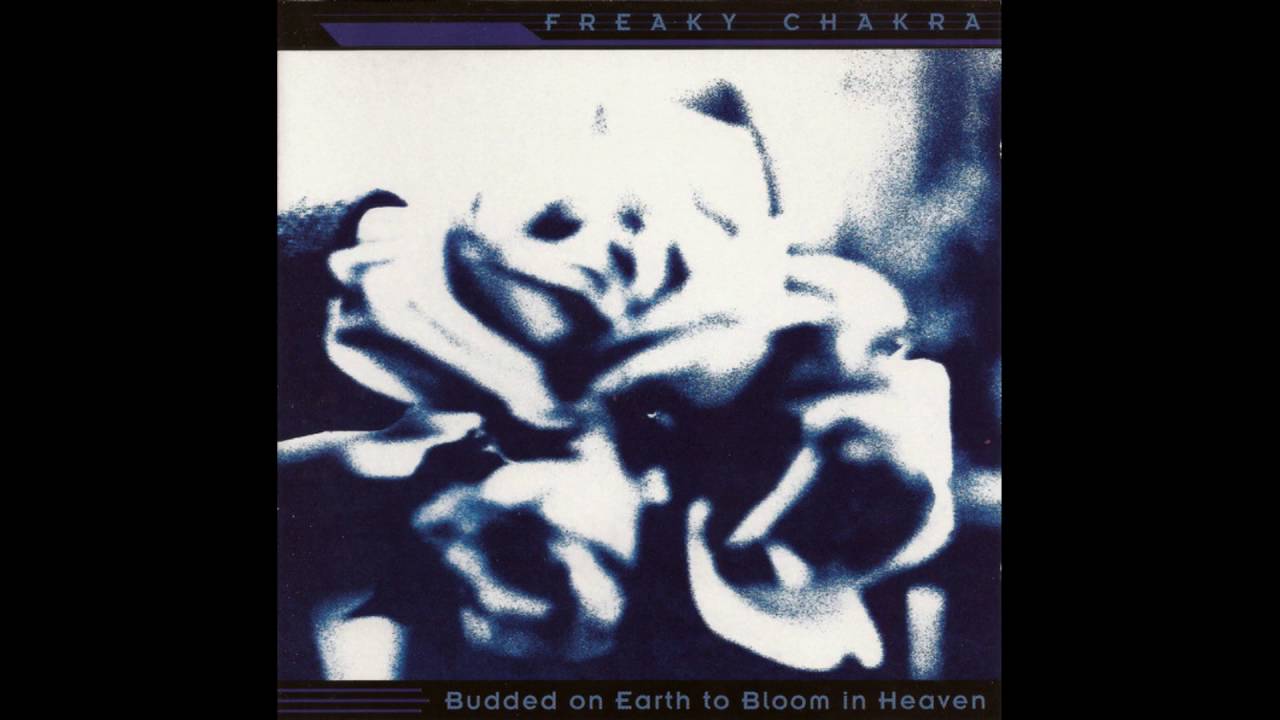 Freaky Chakra Feat. Toni Halliday - Budded On Earth To Bloom In Heaven (First, Last, Always)