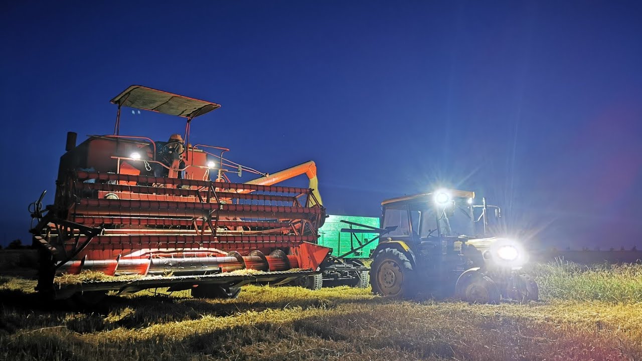 Pszenica Euforia, ale euforii brak... || Pogoda idealna || Ursus C330 Power + Bizon Super Z056