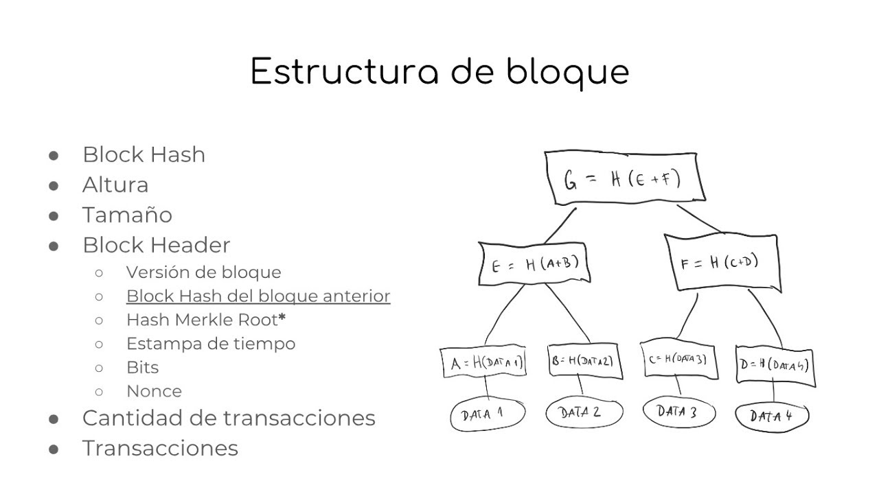 Chaucha Docs #3 - Blockchain y creaci&oacute;n de bloques