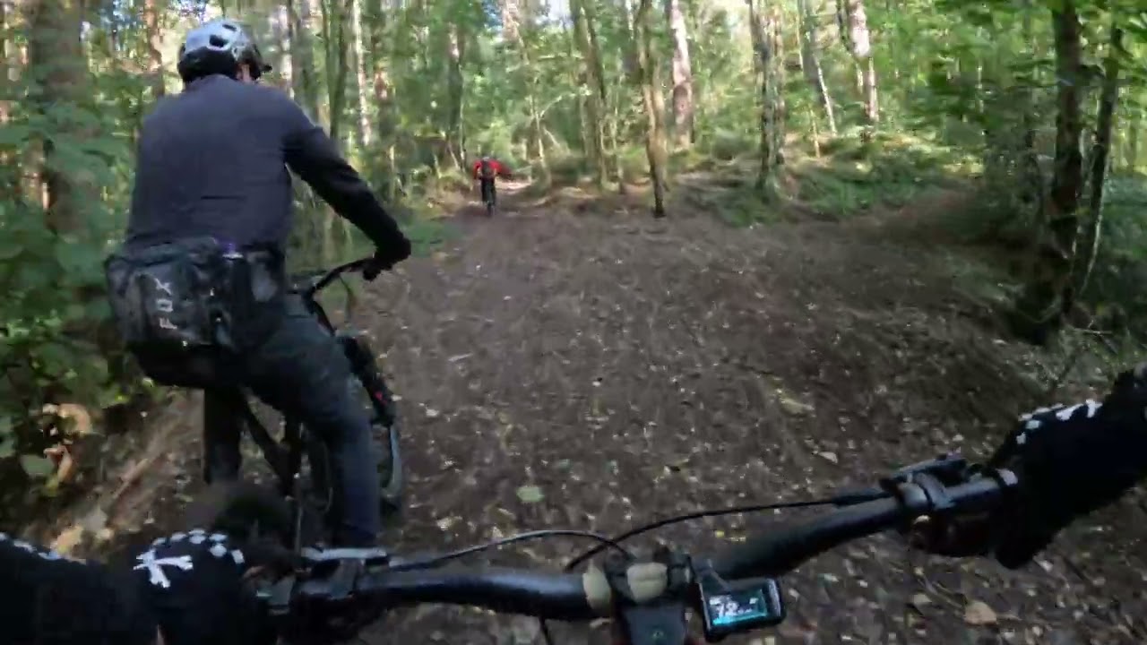 Playing in the woods around Silkstone SY