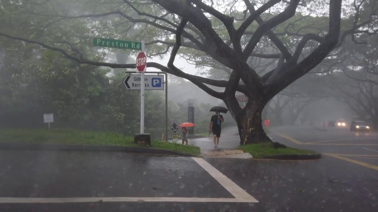 4K RAIN WALKING TOUR ASMR : HUGE THUNDERSTORM SUPER HEAVY LIGHTNING STORM along Depot Road SINGAPORE