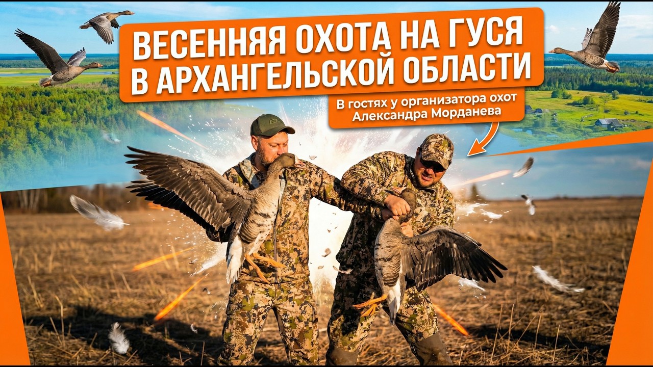 Весенняя охота на гуся в Архангельской области