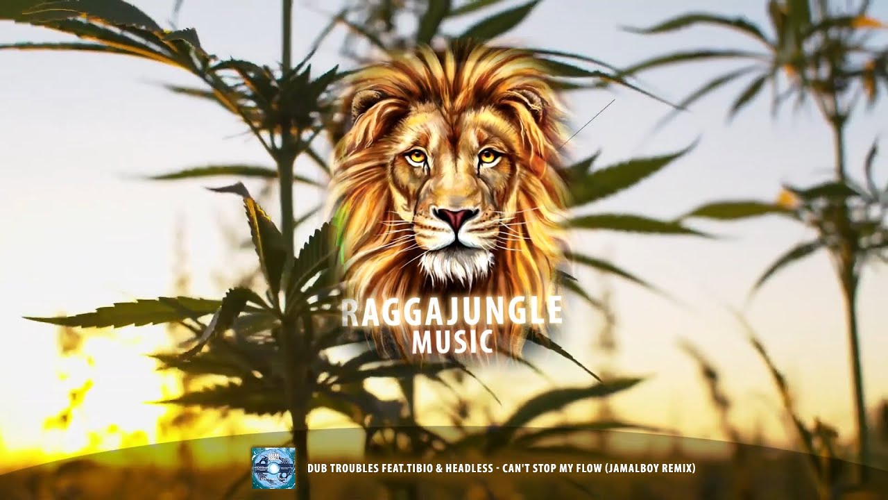 Dub Troubles feat.Tibio & Headless - Can't Stop My Flow (Jamalboy Remix)
