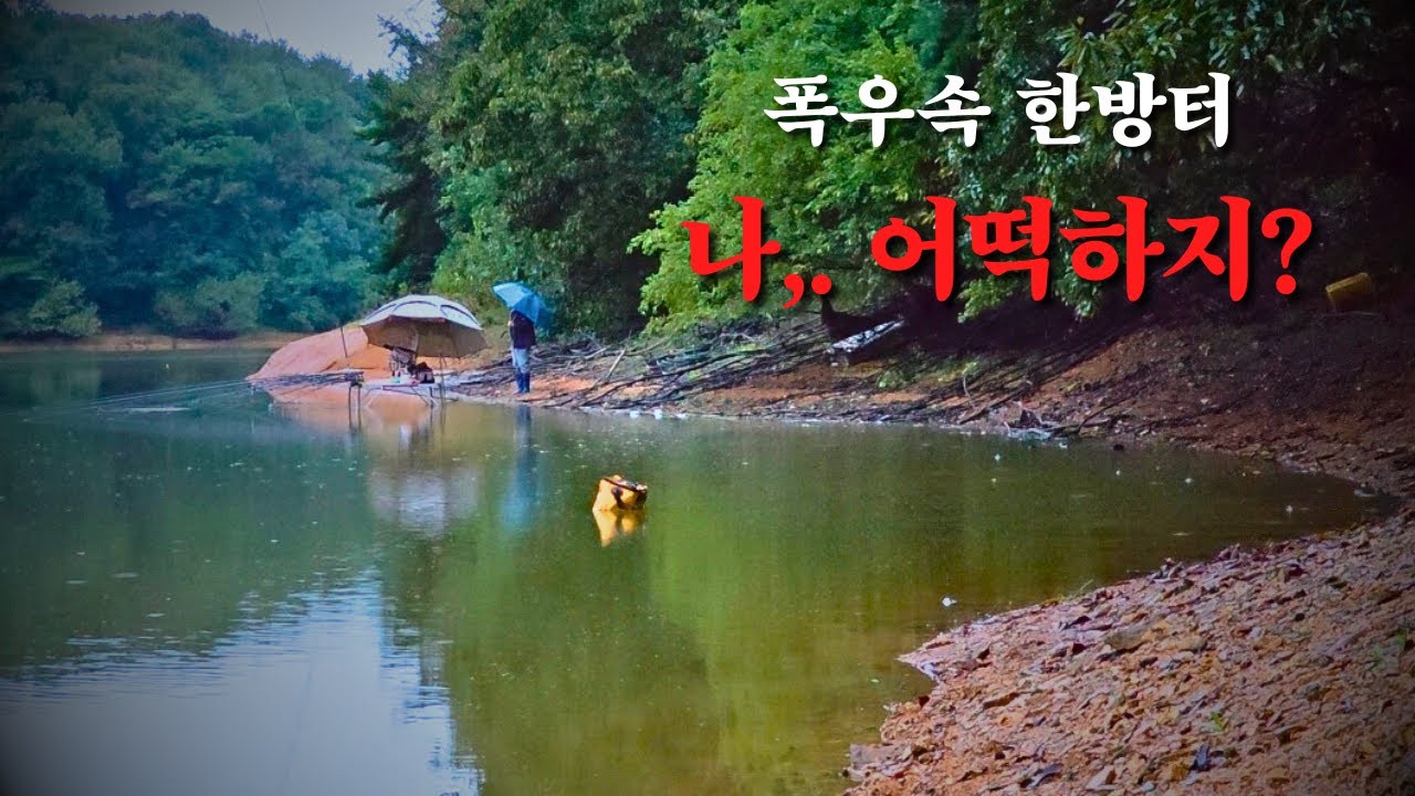 붕어낚시꾼 나래붕어 폭우속 한방터.. 나,. 어떡하지?