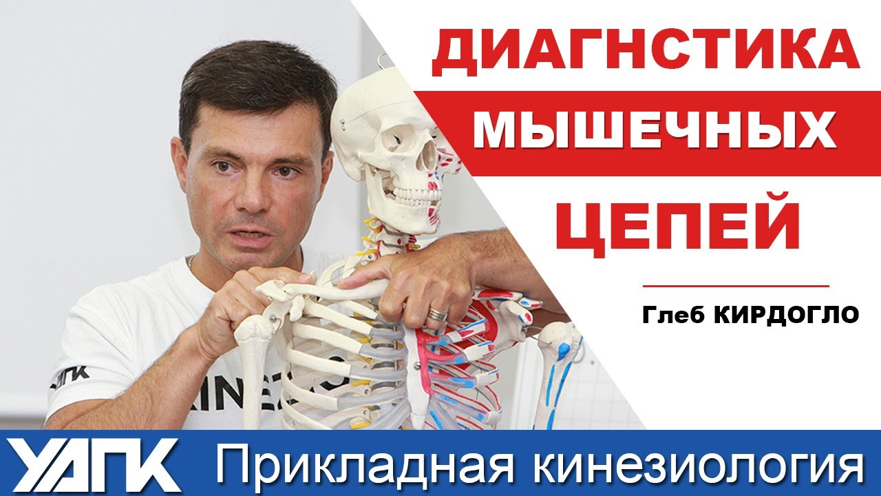 Диагностика мышечных цепей (Глеб Кирдогло)