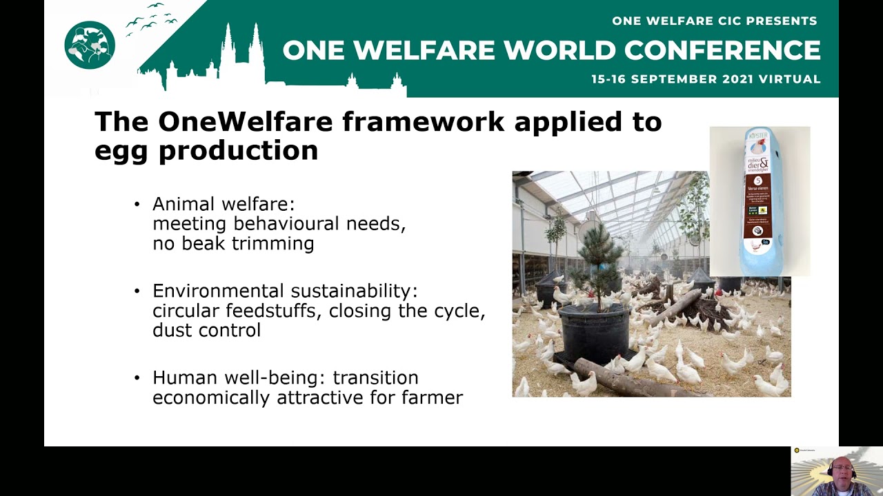 One Welfare in farm animal production.