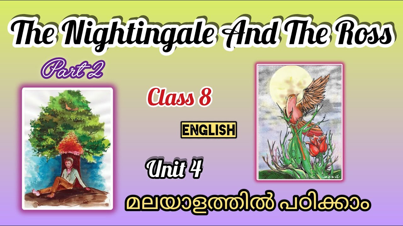 Class 8 | The Nightingale and The Ross ( Part 2) | Malayalam Explanation 