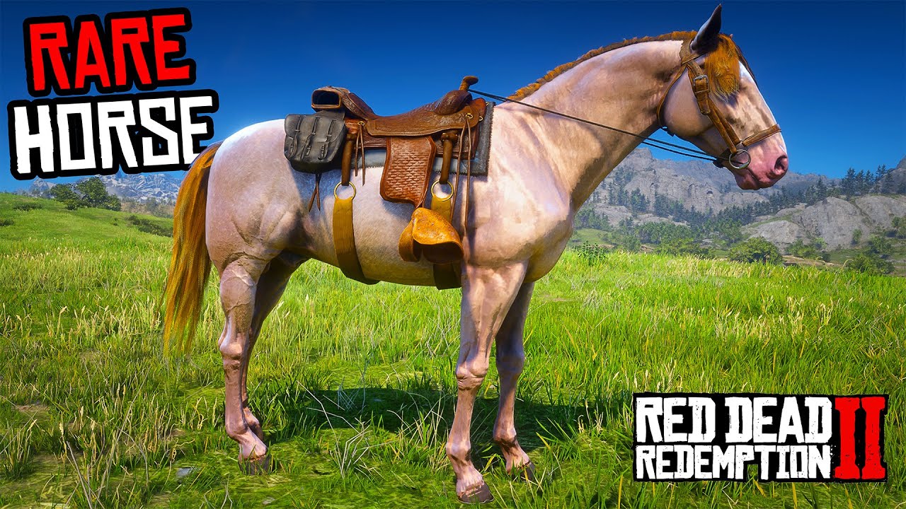 3 Rare Andalusian Horses (Location & Rankings) - RDR 2