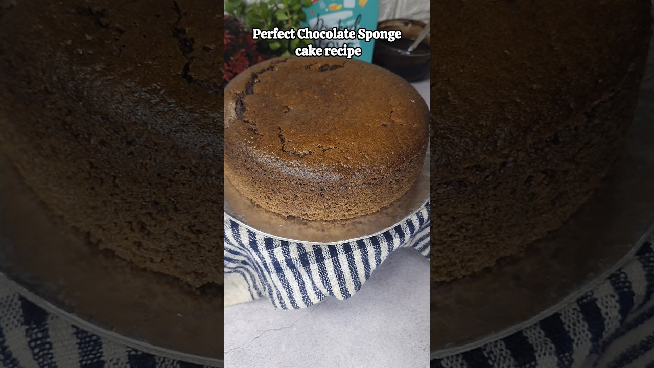 Chocolate Sponge Cake | Basic Chocolate Cake Recipe |