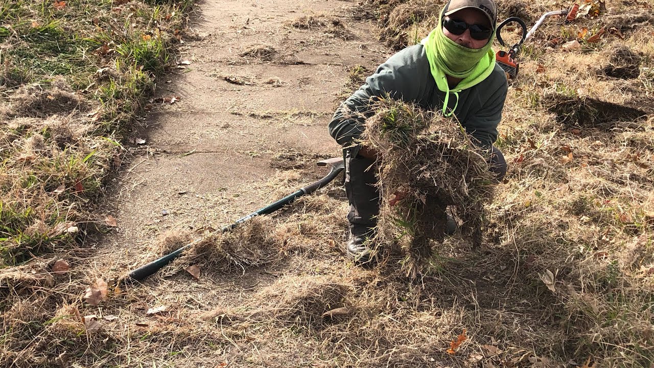 Homeowner Surprised how Wide Sidewalks are |Satisfying free sidewalk Edging