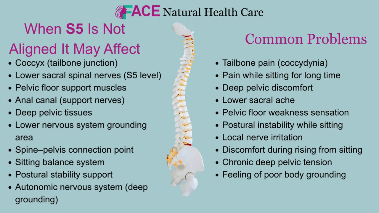 Sacrum 5 spine awareness video
