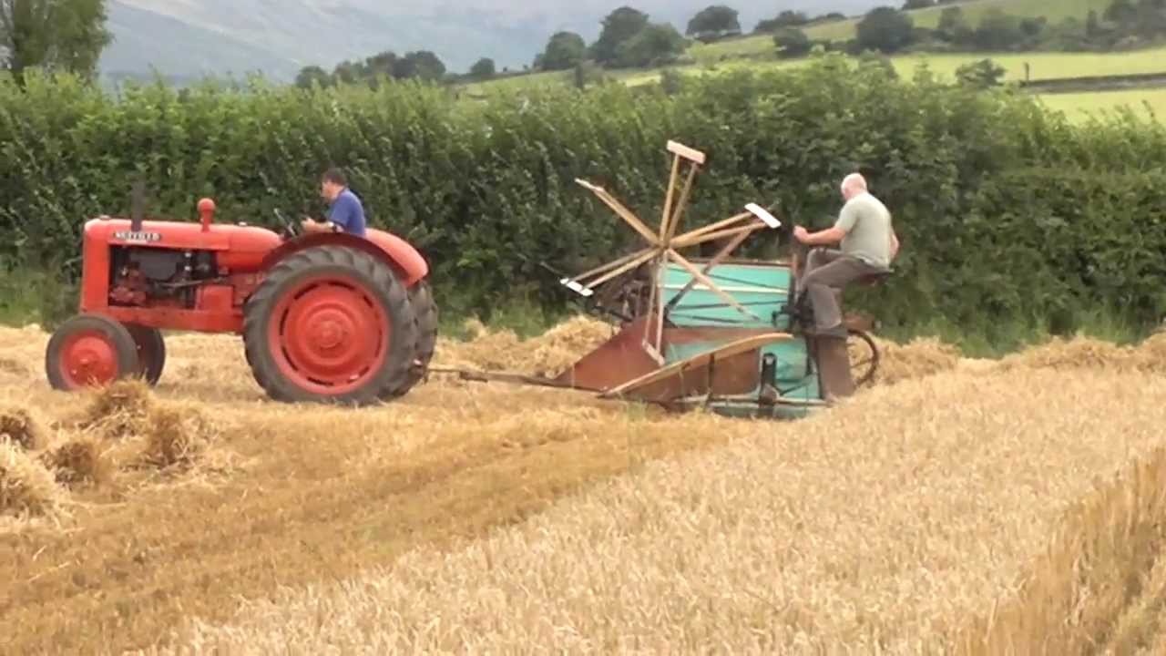 Vintage tractor (ballymurphy club) Reaper binder at work harvesting Oats 9th August 2011 Ireland p4