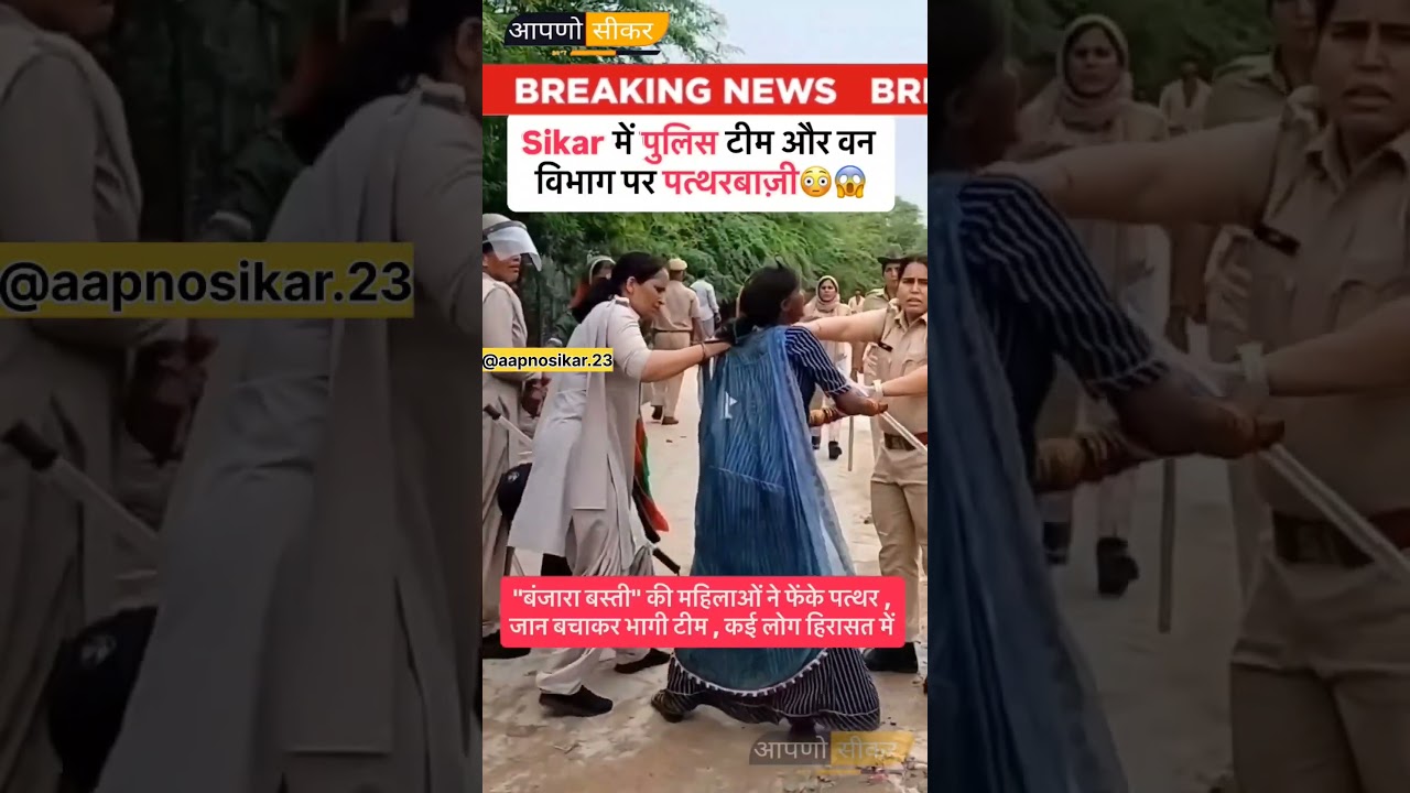 Sikar मे पुलिस टीम और वन विभाग पर पत्थर फेंकना शुरू कर दिया, जिसस🚨😳 @Aapnosikar.23 #sikar #news #s