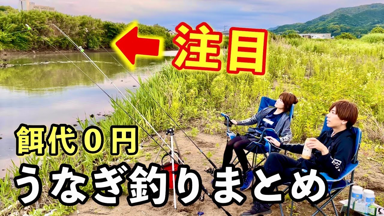 【餌代０円】気を抜いたら置き竿がブッ飛ぶ‼️うなぎ釣り動画まとめ