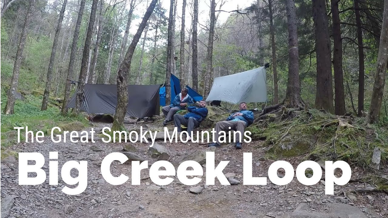 #35 The Great Smoky Mountains - Big Creek Loop