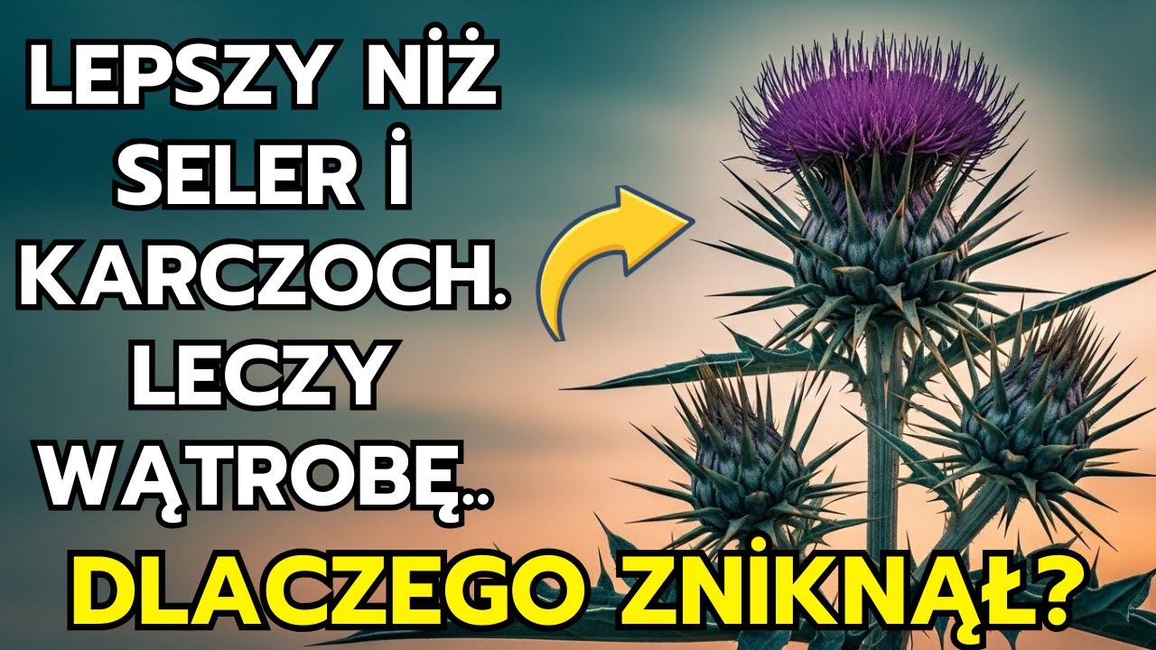 Lepszy niż Seler i Karczoch. Leczy Wątrobę. Dlaczego Go Zapomniano?