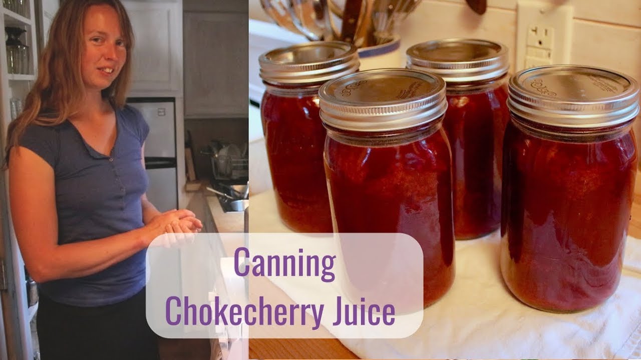 Wild Food Foraging - Canning Chokecherry Juice