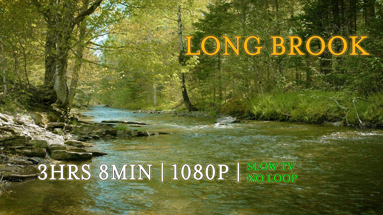 LONG BROOK | SLOW TV [3:08] Beautiful late spring day | Running water | Birdsong | Light wind