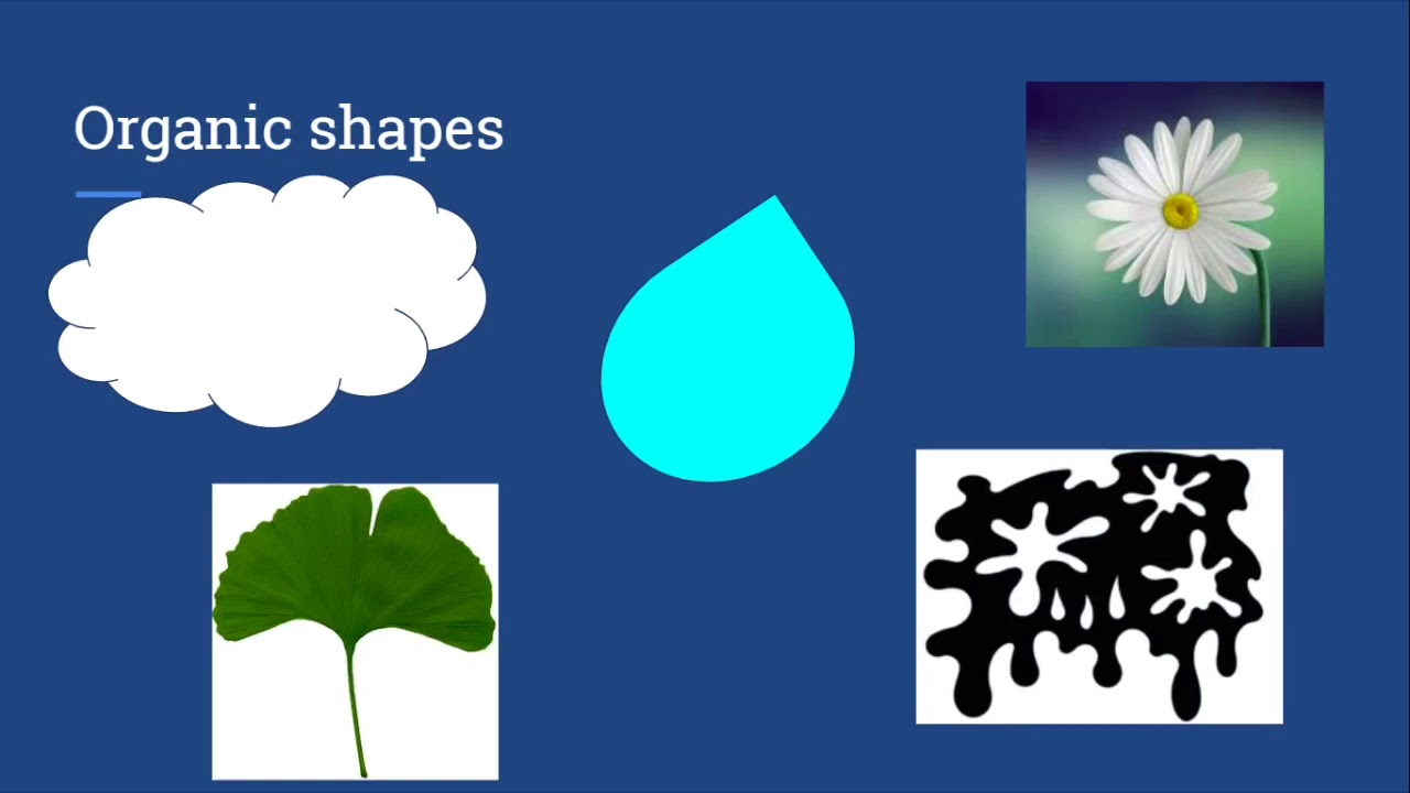 Geometric and Organic shapes