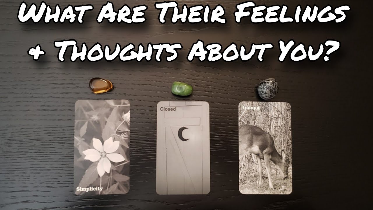 😍♥️ What Are They Feeling & Thinking About You? Pick A Card Love Reading 