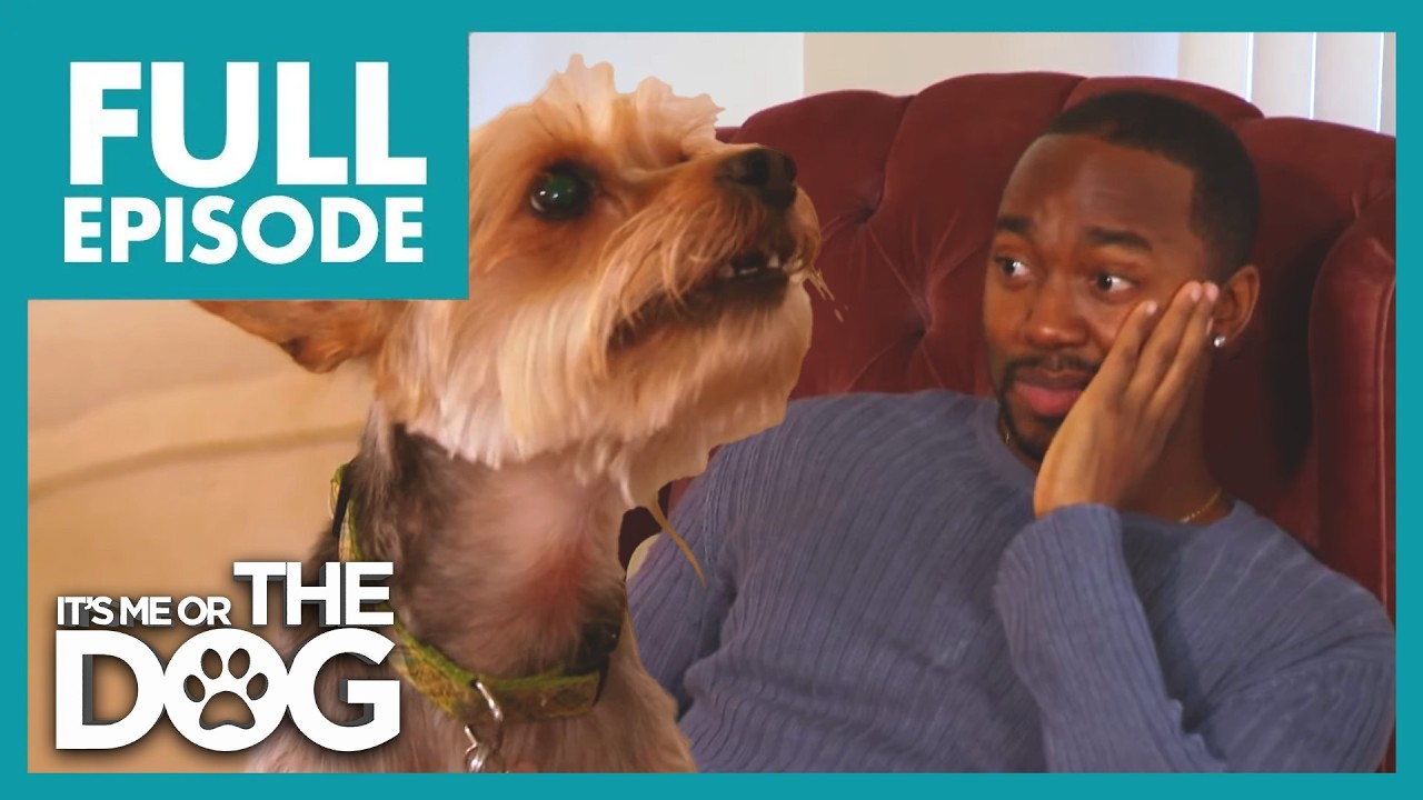 Dangerous Territory | Season 2 Episode 7 | It's Me Or The Dog US