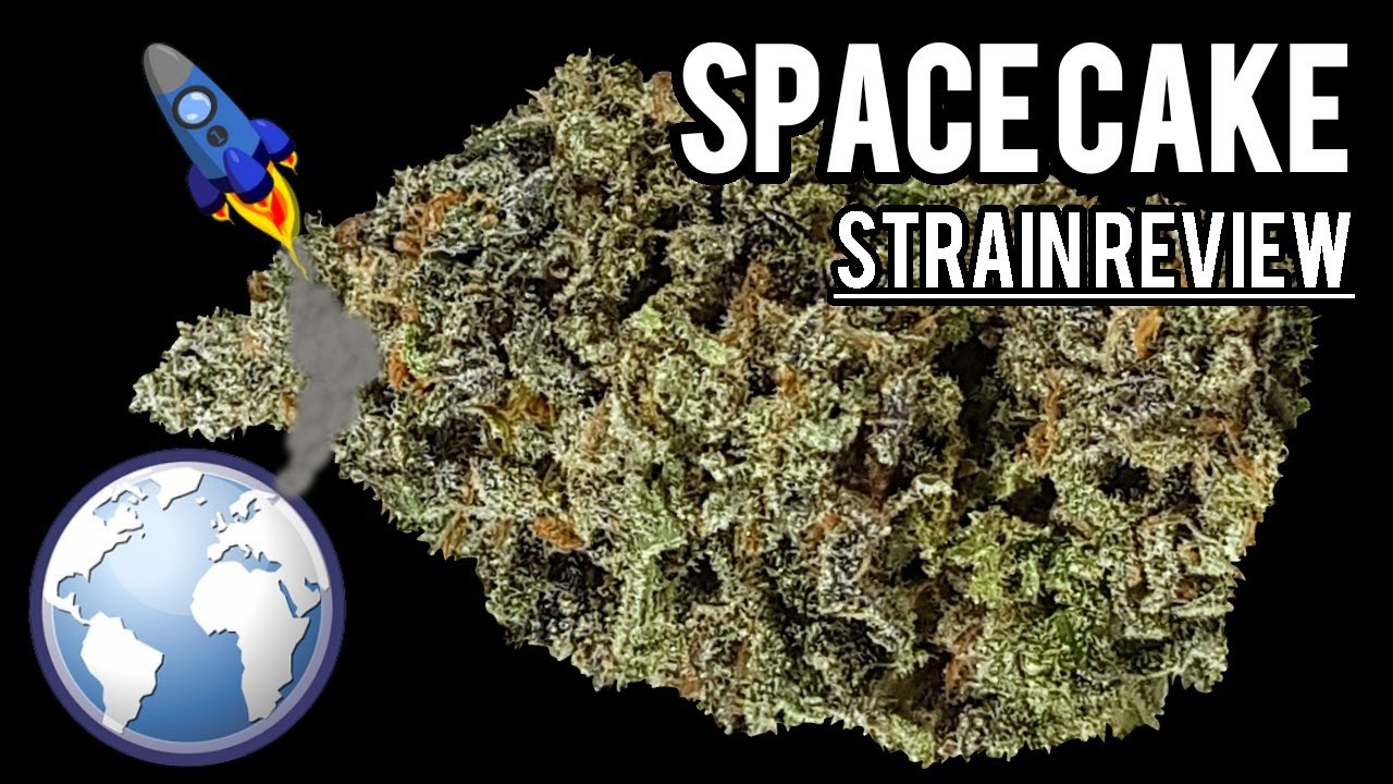 Space Cake OFFICIAL Strain Review