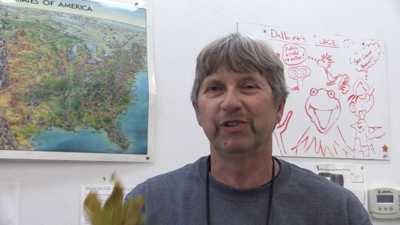 Bob Danchok Describes Combating Blister Rust
