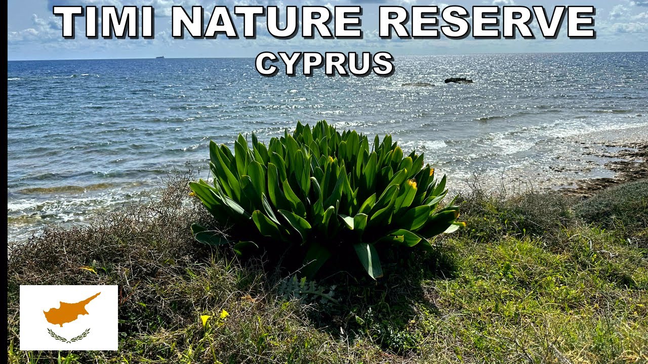 EXPLORING TIMI NATURE RESERVE in CYPRUS 4K (60fps)