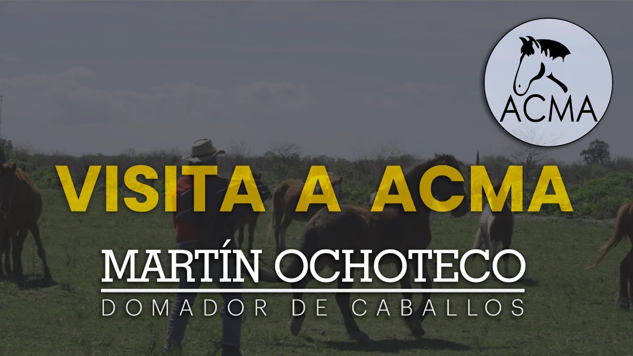 Visita a ACMA - Caballo y mula agresivos - Martin Ochoteco