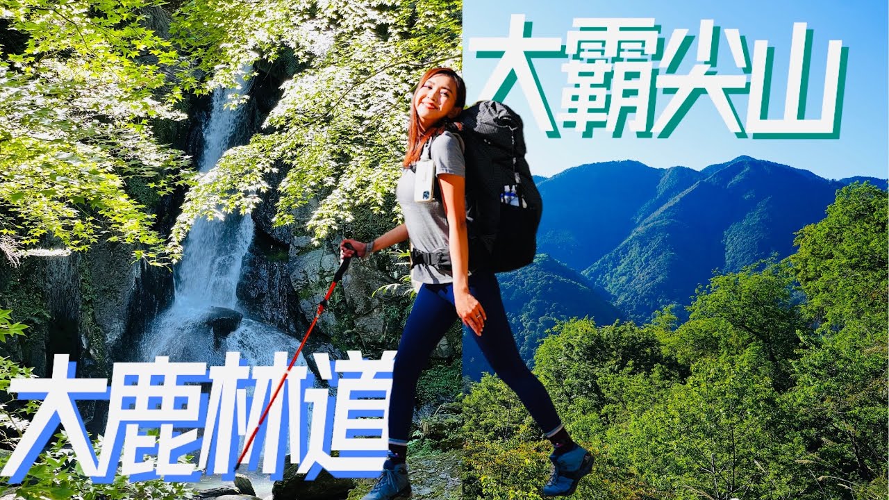 【大霸尖山Day1】踢不完的17K大鹿林道 咬牙爬4K陡上九九山莊 看到美麗大景爆哭了!