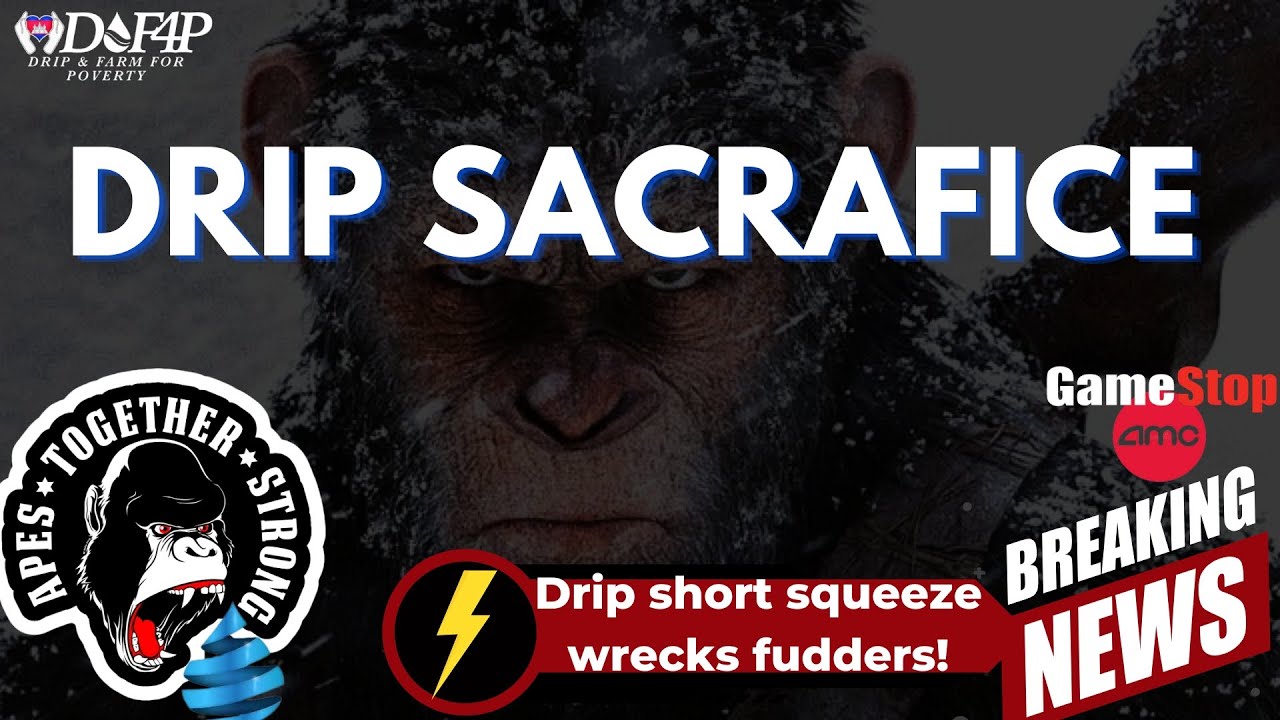 Drip Network how the drip community can short squeeze and Rekt fuddsters