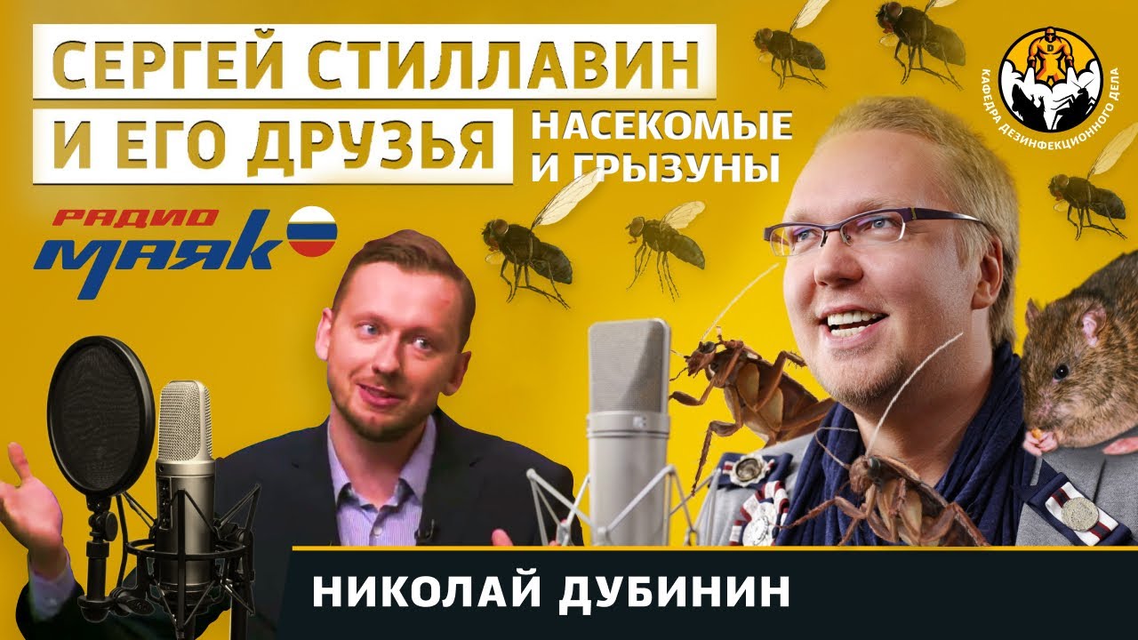 Борьба с насекомыми и грызунами в шоу Сергея Стиллавина @stillavin