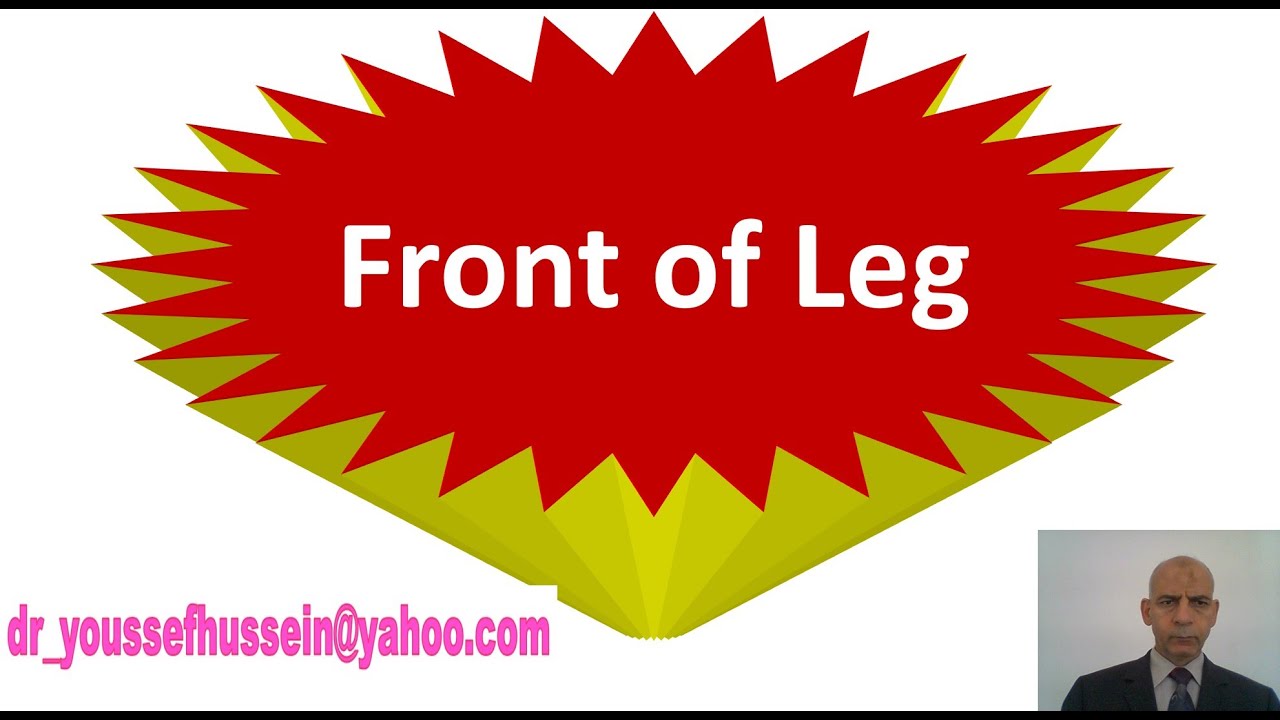 19. Muscles of anterior compartment of leg | Extensor retinaculum