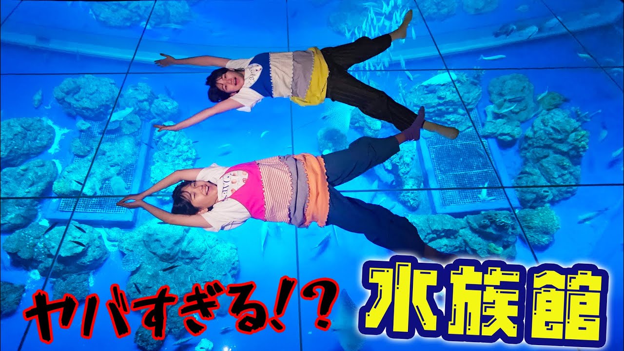 面白すぎてヤバイ！！DMMかりゆし水族館が楽しいの連続すぎる～！！himawari-CH