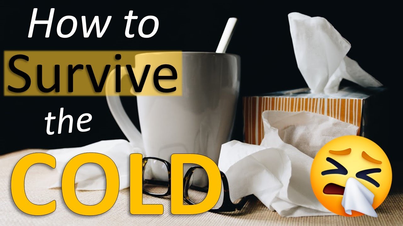 How To Survive the Cold | Week 25