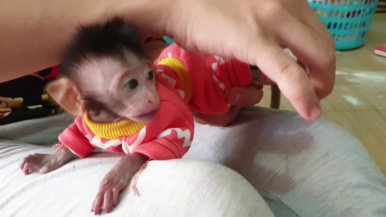 Nails Care !! First time cleaning nails for little baby jemmi