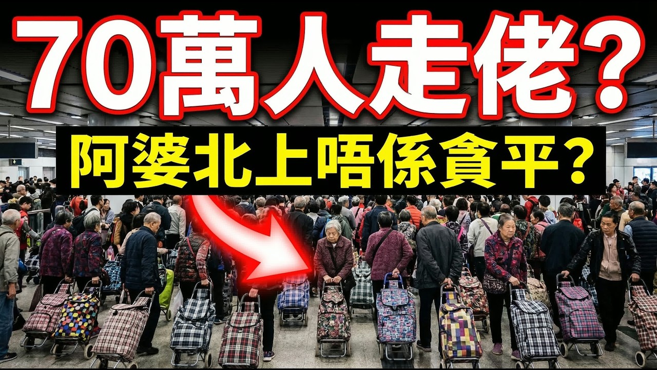 大崩盤！70萬人週末瘋狂北上大逃亡！100蚊買滿成架車？留港老闆無奈等執笠，海外港人睇見都心酸！