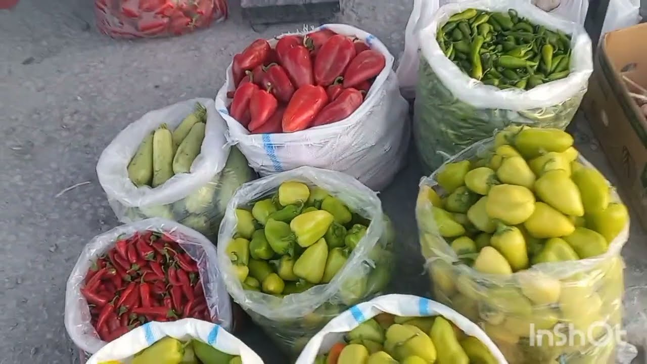 Samarqand shaxar optim yangi bozor narxlari. 2025.08.13