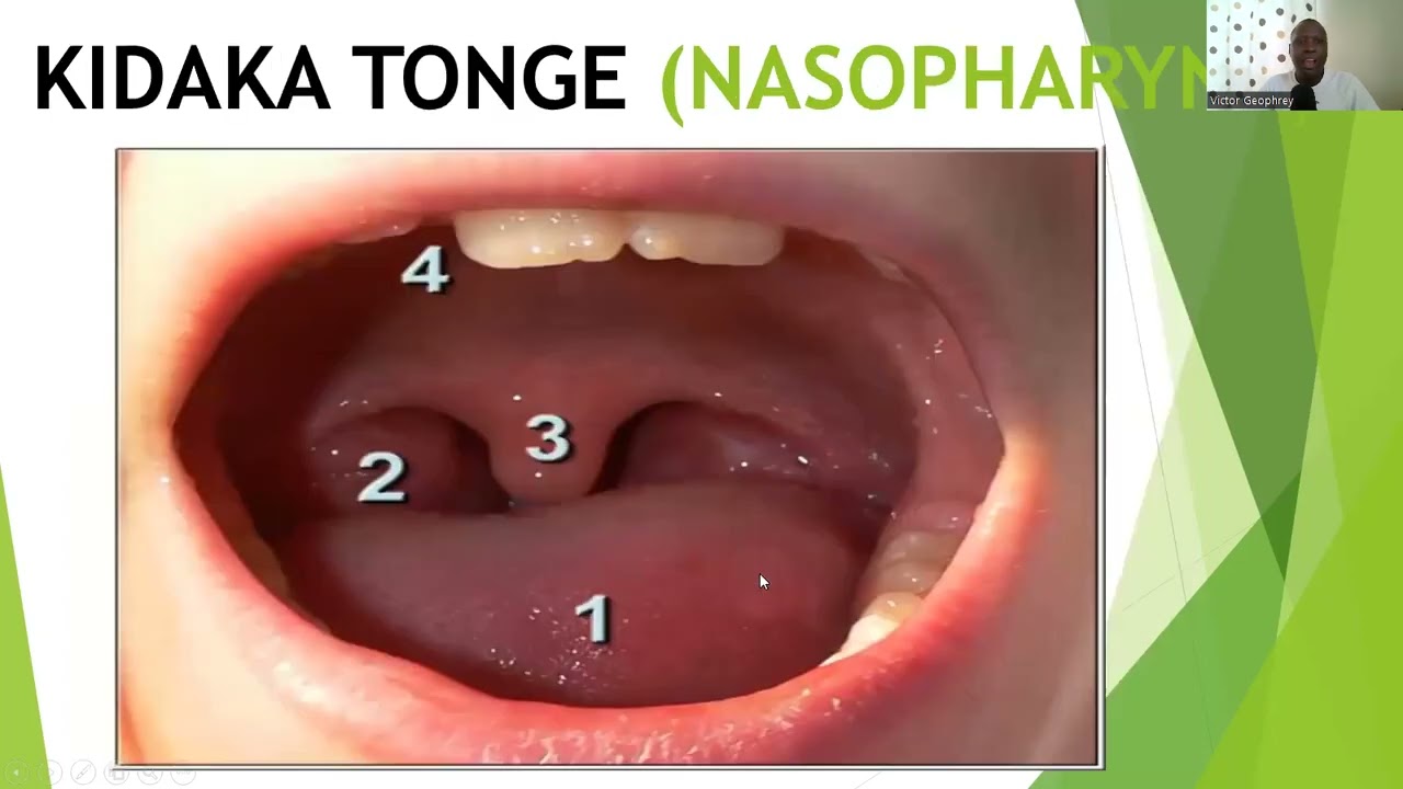 HUMAN BODY ORGANS IN SWAHILI