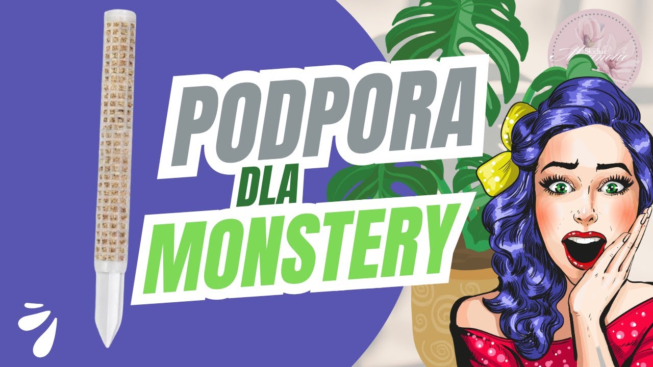 Podpora dla monstery- palik z mchem