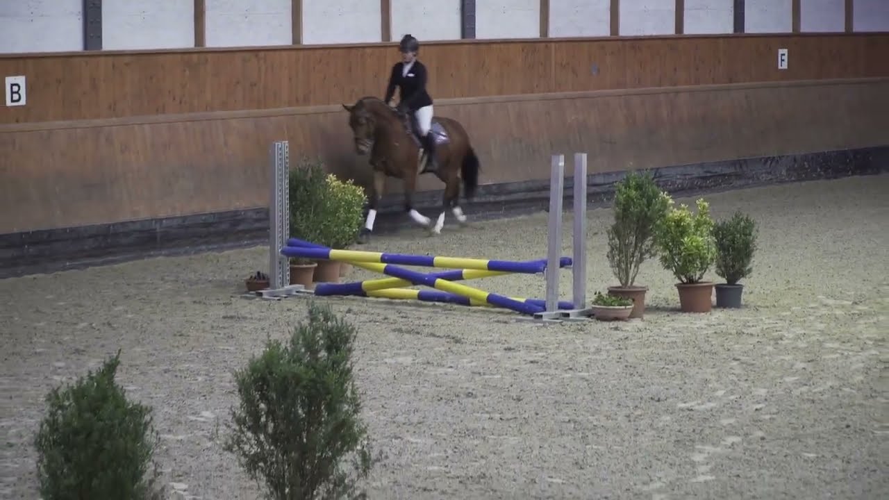 1 Equitation/Reiten TES/ST Avenches 28.02.2026 - 104 Nashville - 112 Excess du P'tit Fâtre