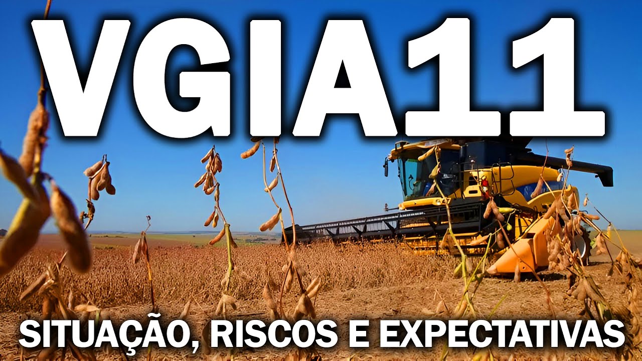 VGIA11, EXPECTATIVAS DE DIVIDENDOS, RISCOS, SITUA&Ccedil;&Atilde;O ATUAL E RESERVAS
