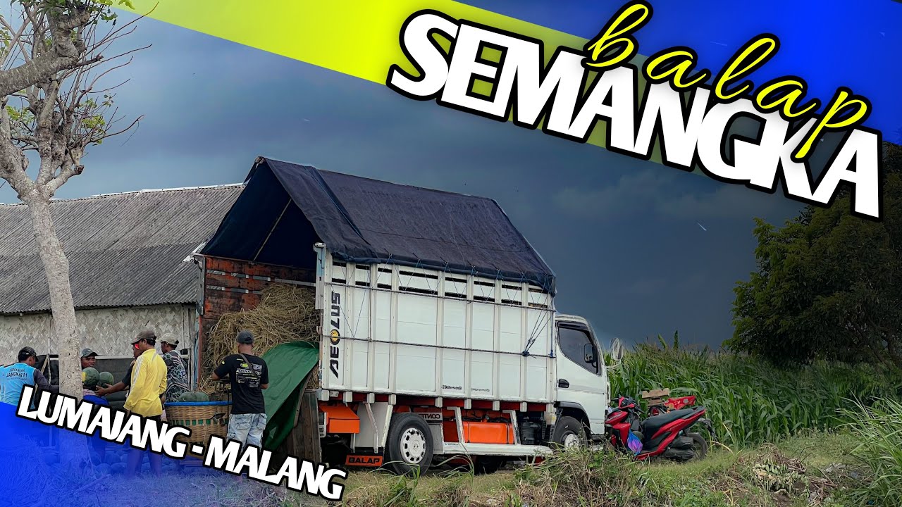 Muat semangka tiba2 kejadian kayak gini 😭 Trip kota2 ongkos syahdu ‼️ (Part 1) 