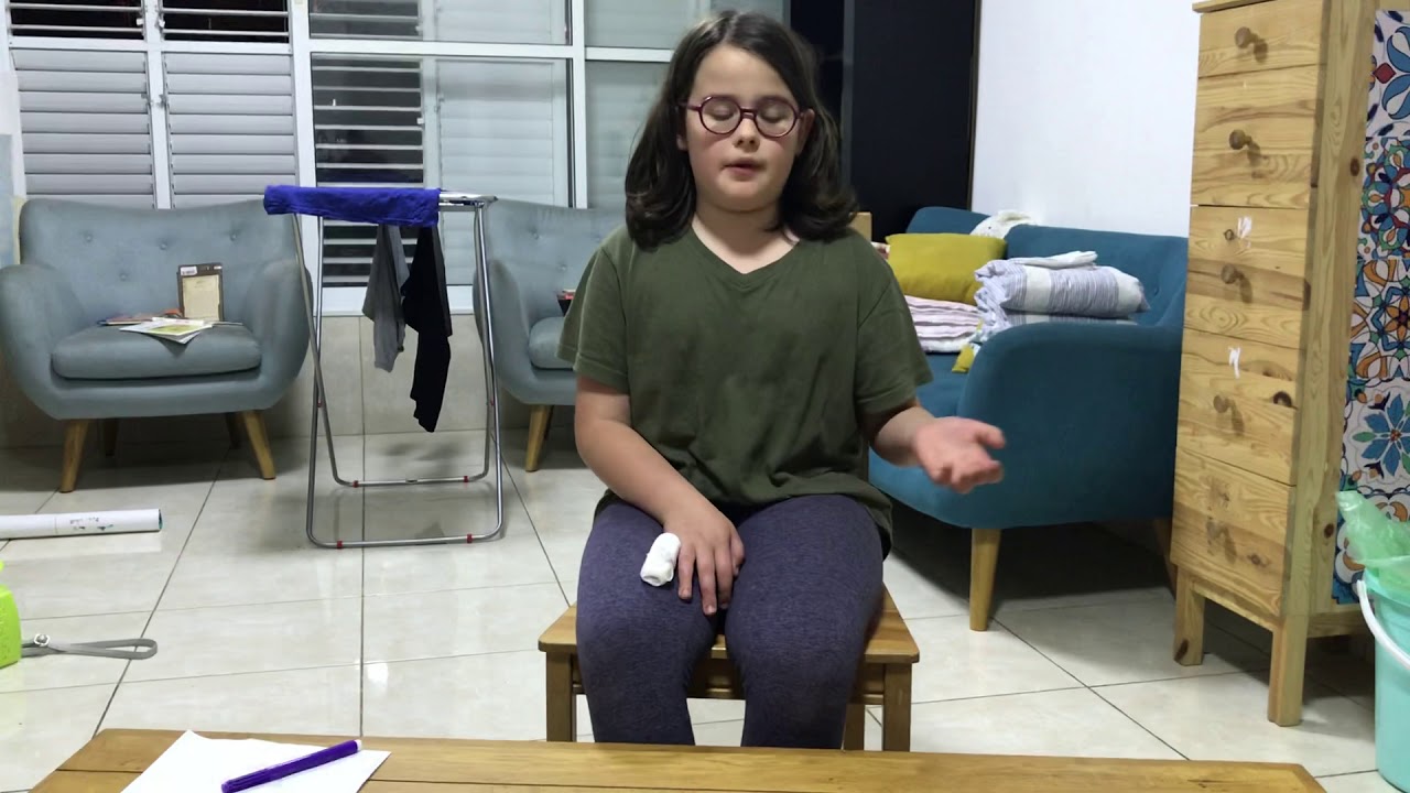 יצירה בעקבות הספר נוצה סגולה