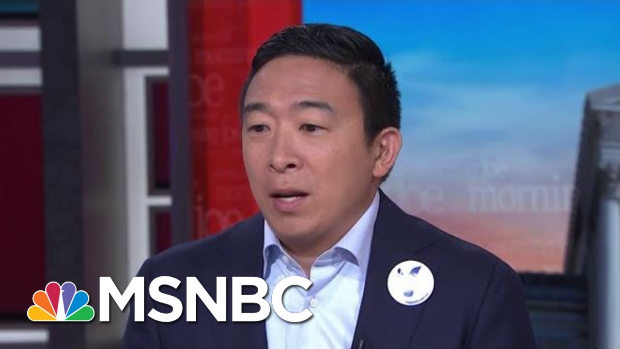 Andrew Yang Proposes 'Personalized' Guns As Way To Stem Violence | Morning Joe | MSNBC