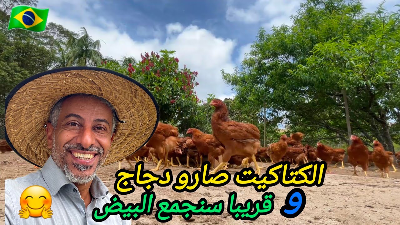 البيت المنحوت  صار جاهز 🙂 و الكتاكيت صارو دجاج 🤗