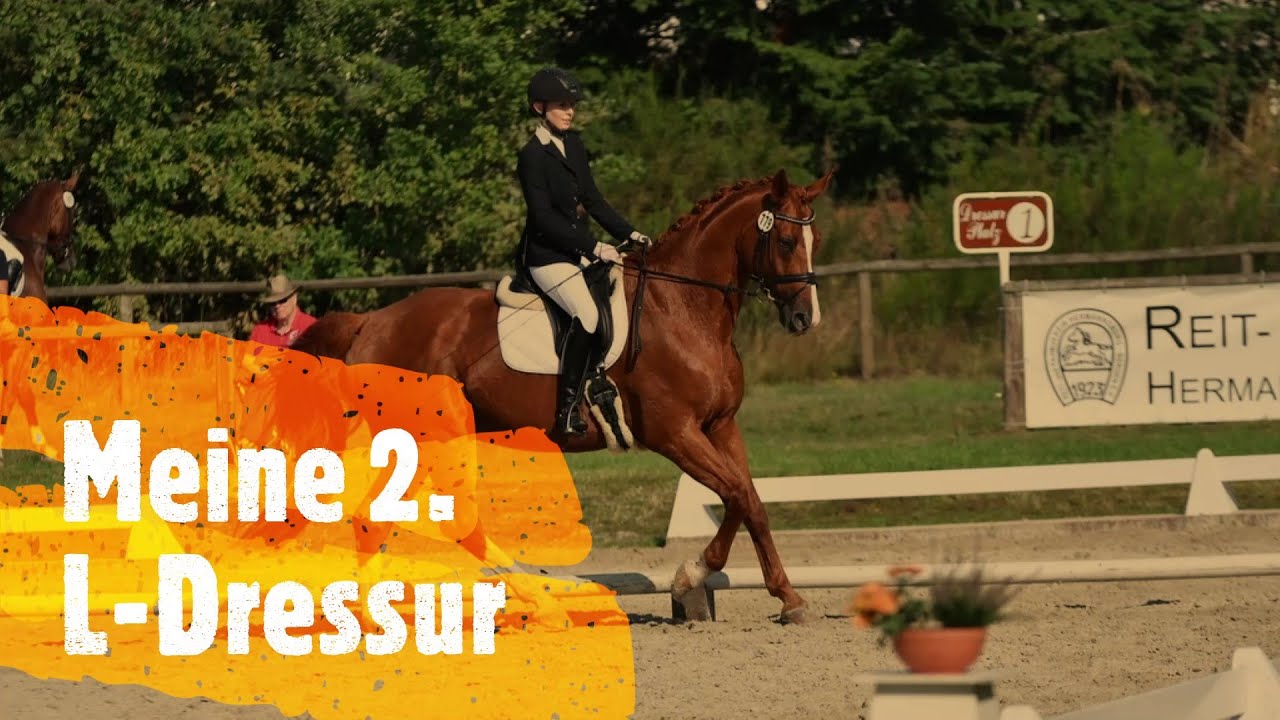Meine 2. L Dressur | Dressurprüfung Kl. L* Trense (L3) Hermannsburg 2019 WN 6,0