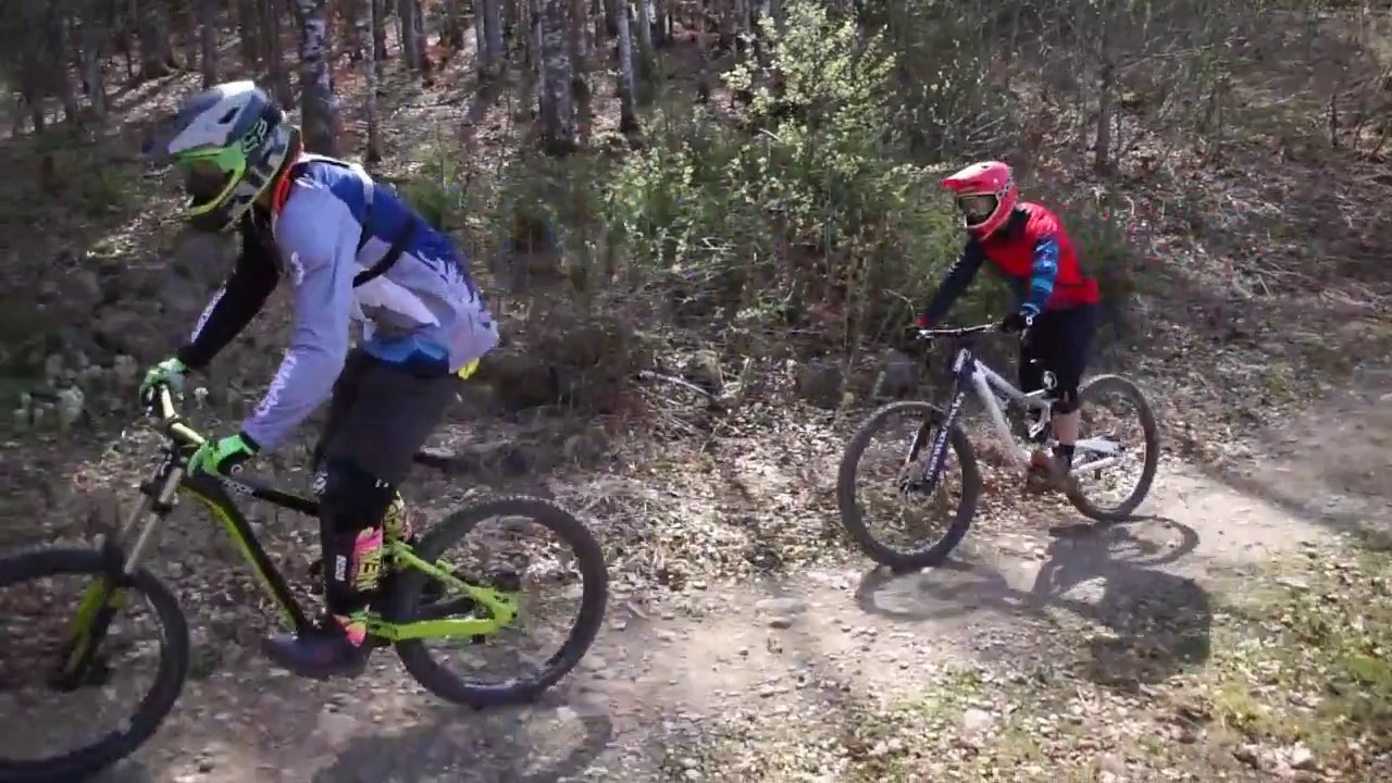 Bikepark Todtnau 2017, Die Downhillstrecke