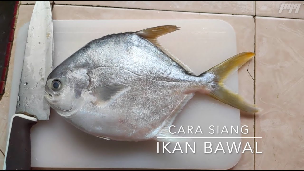 Cara Siang Ikan Bawal Paling Mudah | Skill penting depan mak mertua